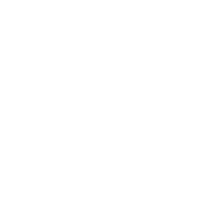 The Auction Group